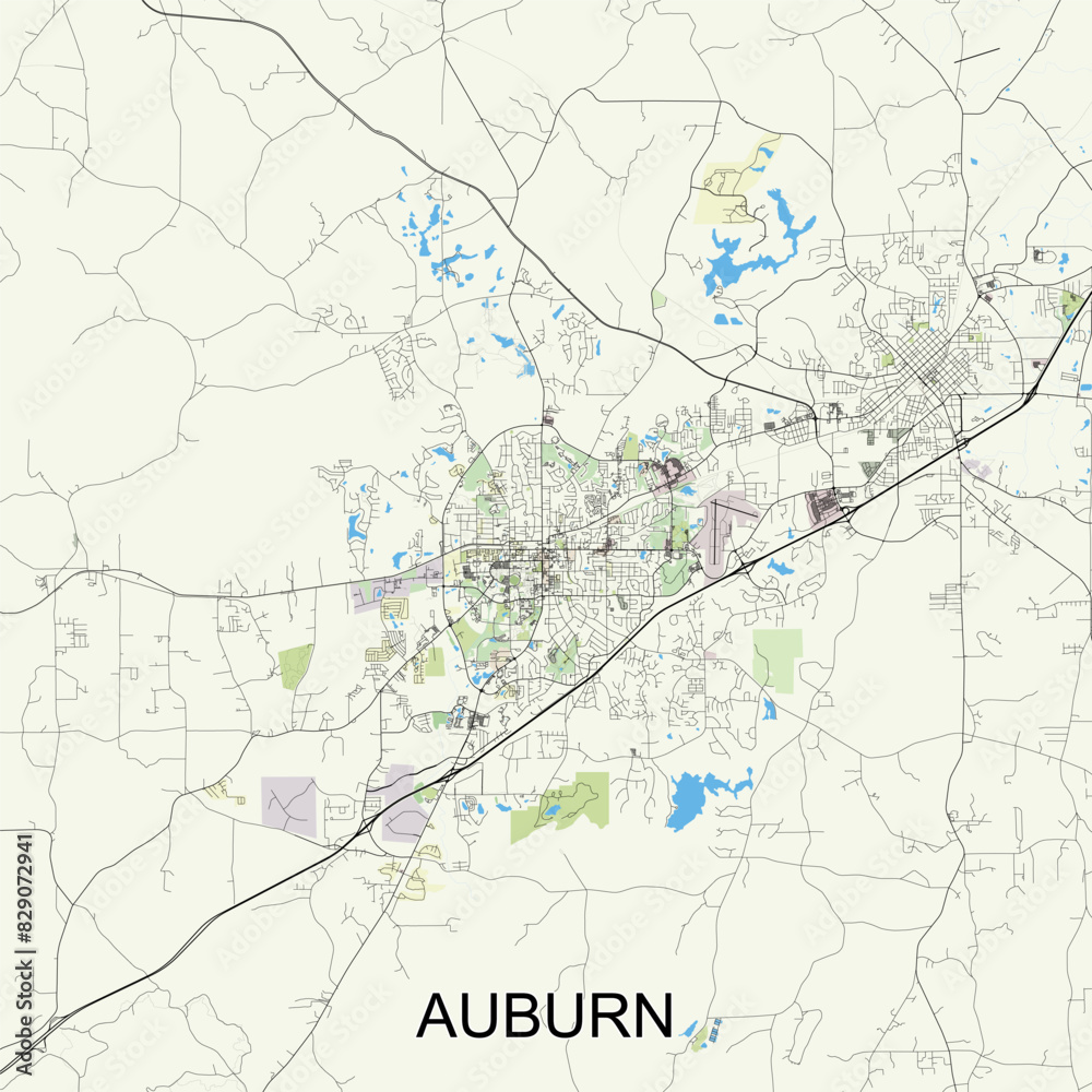 Auburn, Alabama, United States map  poster art