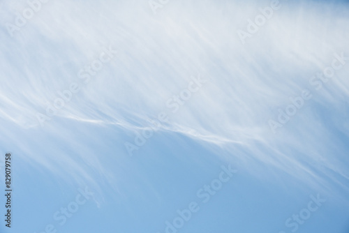 Light blue sky with a line of wispy white feathery cloud, as a nature background  © knelson20