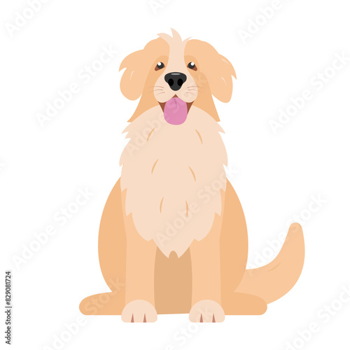 Sitting fluffy Dog front view. Happy dog icon. Golden labrador retriever funny pet home animal. Vector illustration isolated on white background.