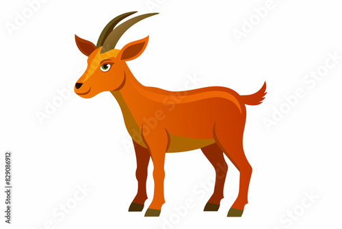 Cartoon goat with orange fur and curved horns  standing. Farm animal  livestock  agriculture  farming concept. Isolated on white background.