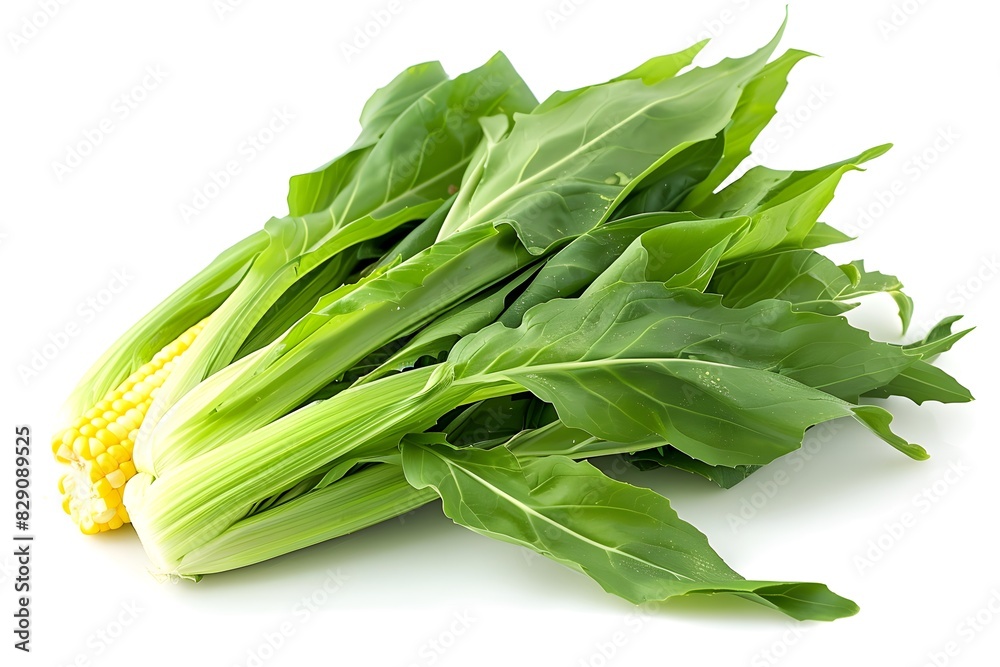 Various green vegetables on white surface Various green vegetables on white surface