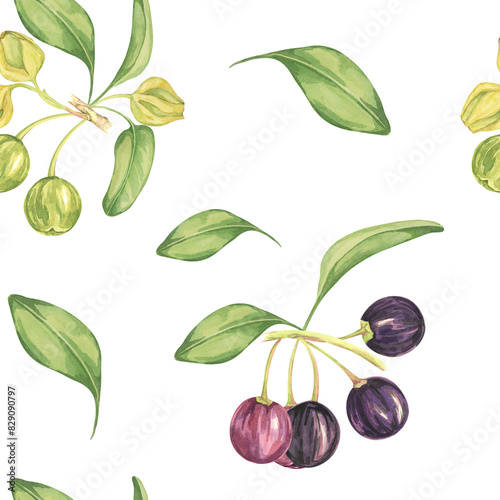 Maqui berry, purple pink fruit seamless pattern with leaves. Aristotelia chilensis textile watercolor ornament clipart. Vibrant Chilean wineberry print for clothing, paper, scrapbooking, wallpaper photo