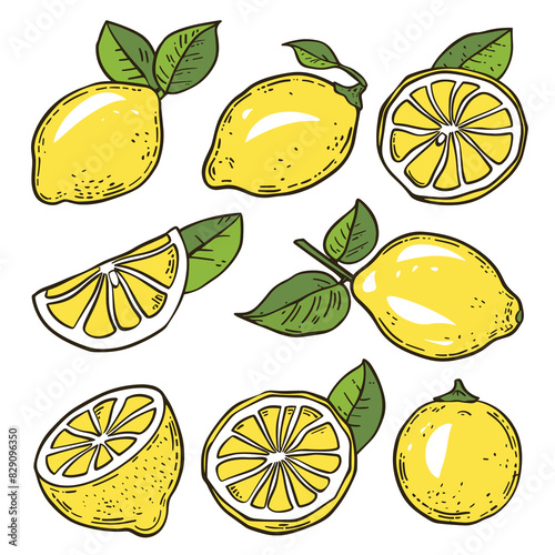 Lemon illustrations featuring whole lemons, halfcut lemons, lemon slices. Bright yellow citrus fruit green leaves, handdrawn style. Citrus limon drawings suitable recipe decorations, food blogs photo