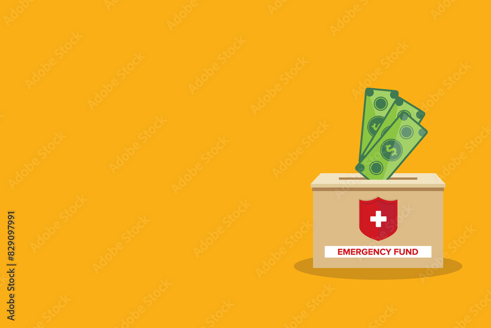 Emergency Fund Savings Emergency Fund Savings