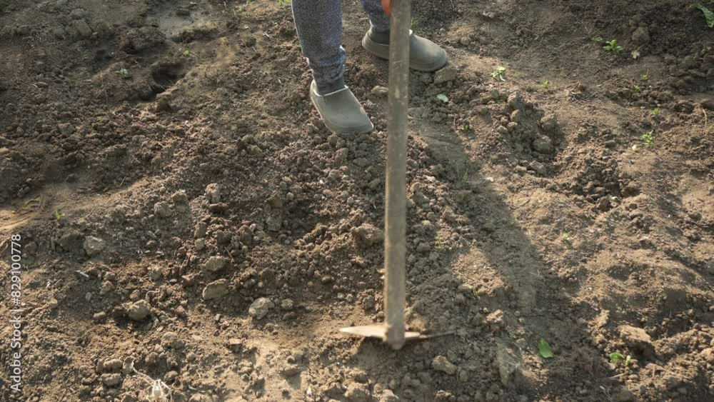 Woman digs up the soil with a hoe.