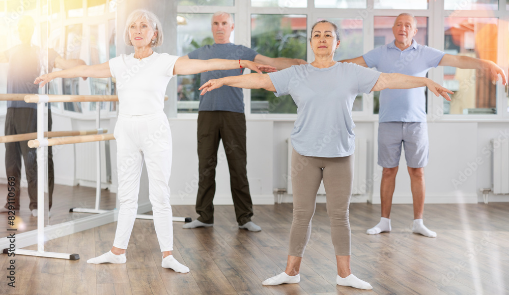 Group of elderly people of different ages are learning various dance and ballet movements in the studio