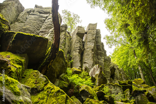 Steinwand mit Basalt bei Poppenhausen in der Rhön