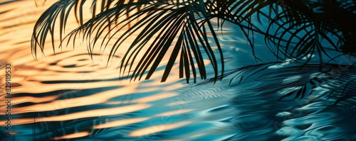 Palm tree reflections on sunset water