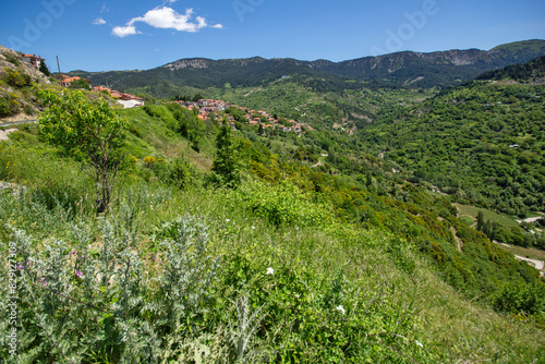 Sprring view of village of Metsovo, Epirus Region, Greece