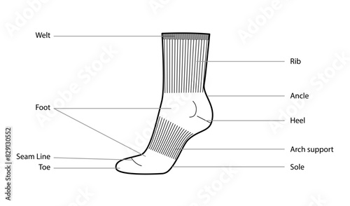 Diagrams of sports sock parts with text names. Hosiery Fashion accessory clothing technical illustration stocking. Vector side view for women style, flat template CAD mockup sketch outline isolated