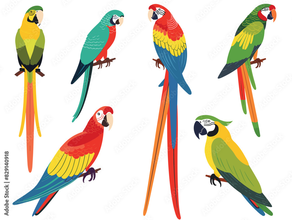 Colorful parrots various poses, tropical bird illustrations, vibrant artwork parrots. Six stylized parrots feathers shades red, green, blue, yellow. Cartoon friendly expressions, one saying hello