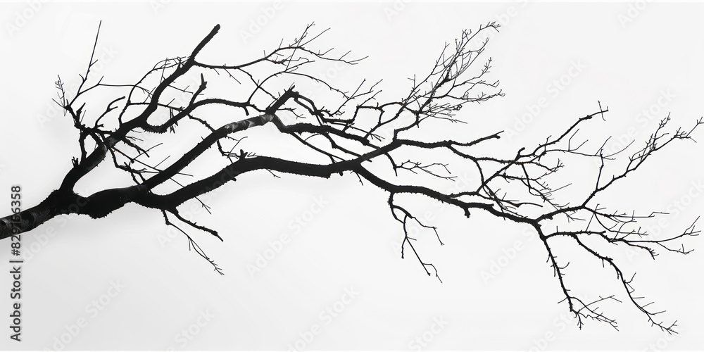 Branches in vector graphics, using simple lines and minimalism against a white background in monochrome.