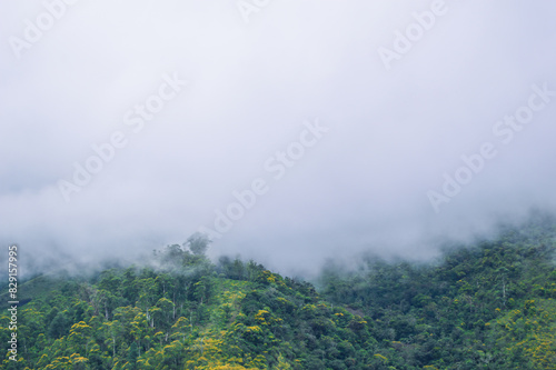 View from Baker's Bend: Clouds Touching Mountain Top, Autumn Vibes, Nonpareil Mountain, Belihuloya, Sri Lanka