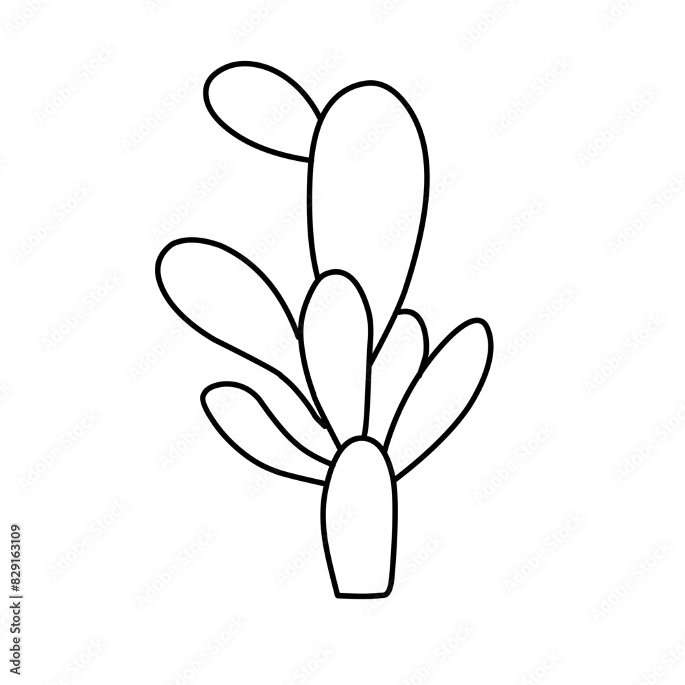simple cactus outline