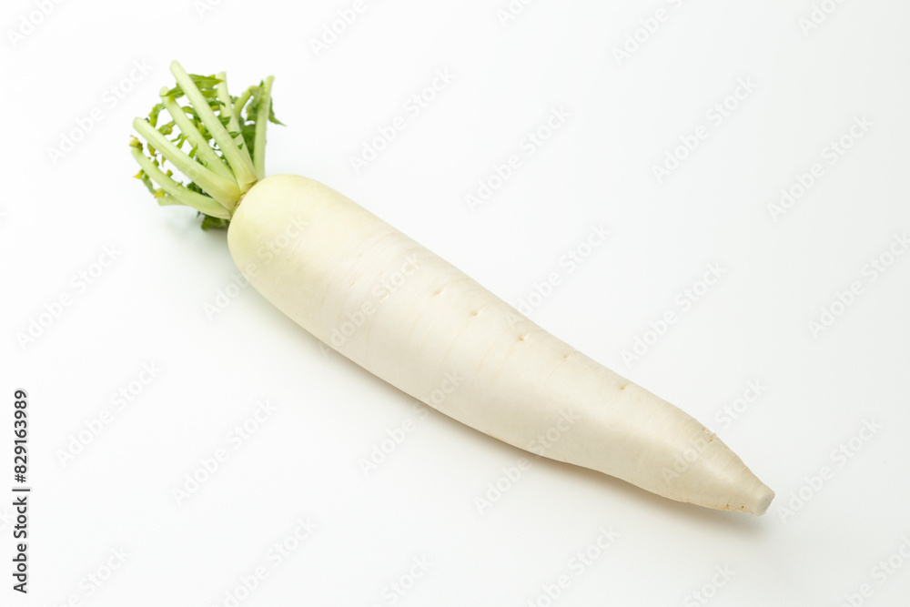 白背景に大根