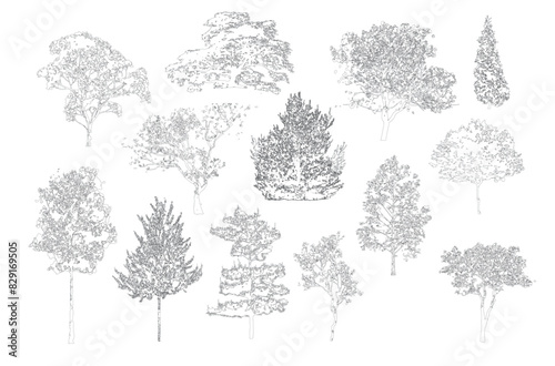 Minimal style cad tree line drawing, Side view, set of graphics trees elements outline symbol for architecture and landscape design drawing. Vector illustration in stroke fill in white. Tropical, stre