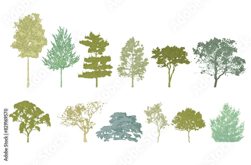 Minimal style cad tree line drawing, Side view, set of graphics trees elements outline symbol for architecture and landscape design drawing. Vector illustration in stroke fill in white. Tropical, stre