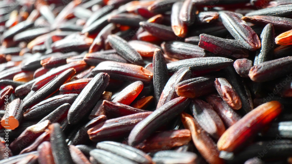 Dive into the wholesome goodness of Riceberry rice, Bursting with antioxidants and essential nutrients, its vibrant dark purple grains elevate any meal with both flavor and health benefits.
Dive into the wholesome goodness of Riceberry rice, Bursting with antioxidants and essential nutrients, its vibrant dark purple grains elevate any meal with both flavor and health benefits.