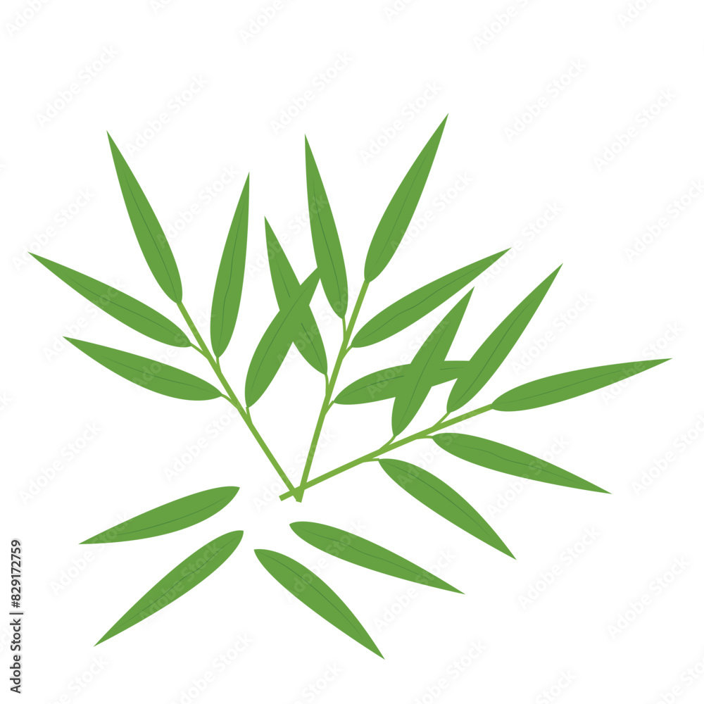 Obraz premium Bamboo leaf