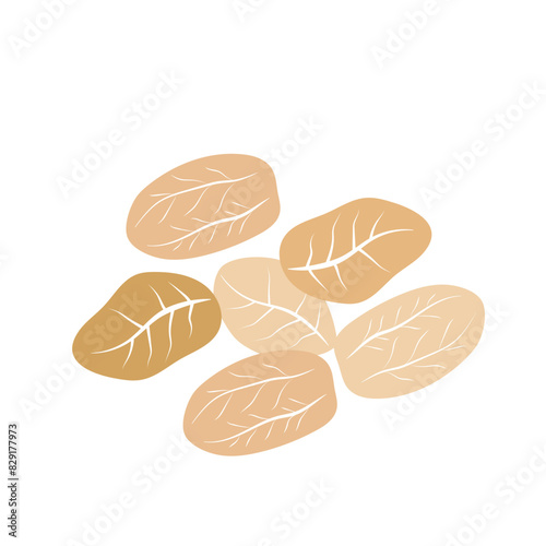 Oat