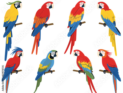 Eight colorful parrots perched, vivid plumage red, blue, yellow, green feathers. Exotic tropical birds, various poses, macaws illustration, wildlife theme. Cartoon style parrots, bright avian