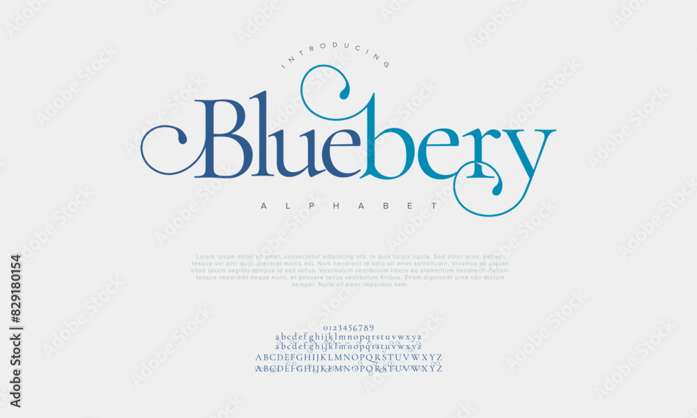 Bluebery premium luxury elegant alphabet letters and numbers. Vintage wedding typography classic serif font decorative vintage retro. creative vector illustration Bluebery premium luxury elegant alphabet letters and numbers. Vintage wedding typography classic serif font decorative vintage retro. creative vector illustration