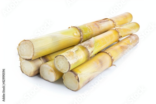 Isolated sugar cane with white background and clipping path