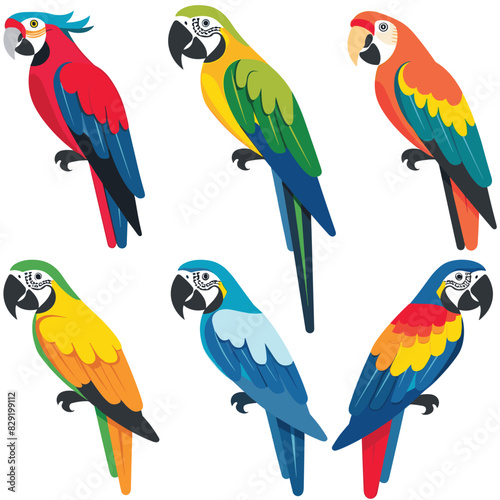 Set six colorful parrots, side view. Different species parrots vibrant feathers. Tropical birds illustration isolated white background