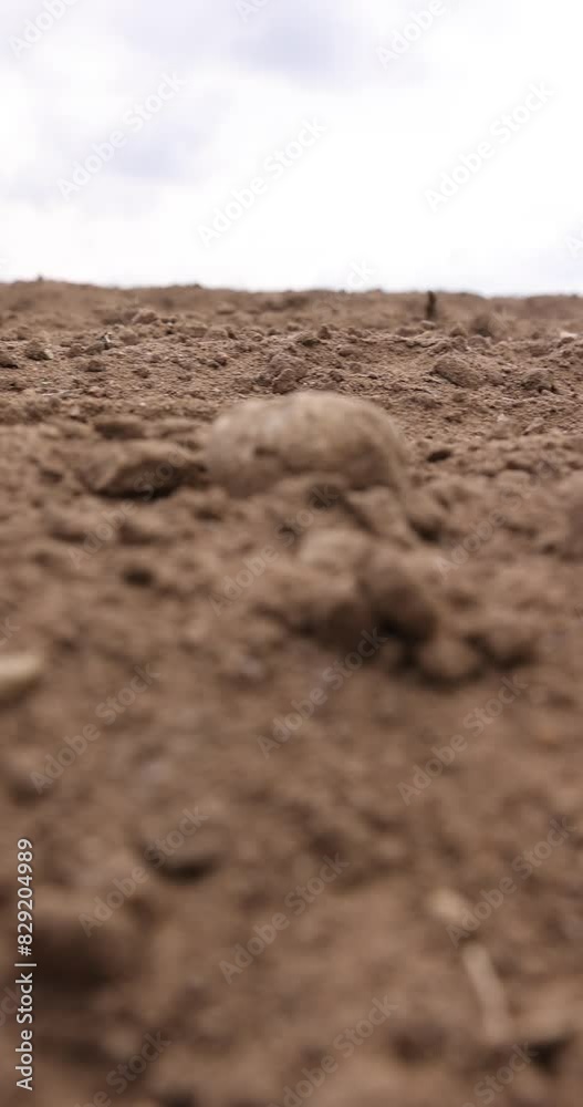 the plowed soil of a fertile field in spring, the soil in an agricultural field in cloudy weather the plowed soil of a fertile field in spring, the soil in an agricultural field in cloudy weather