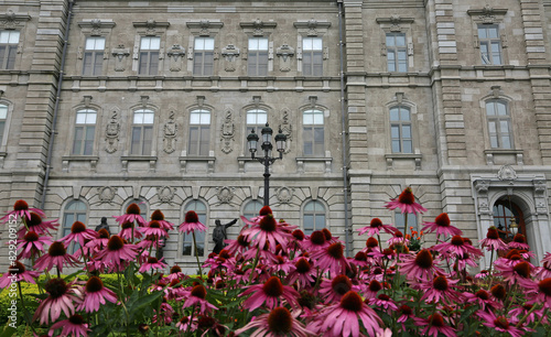 Parliament and echinacea - Quebec City, Canada