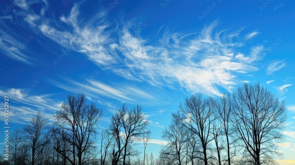 Trees silhouetted against a vibrant blue sky