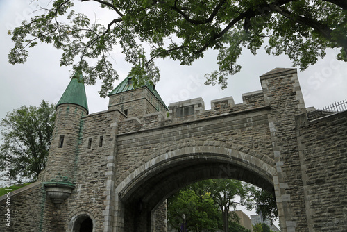 The tree and St Louis Gate - Quebec City, Canada