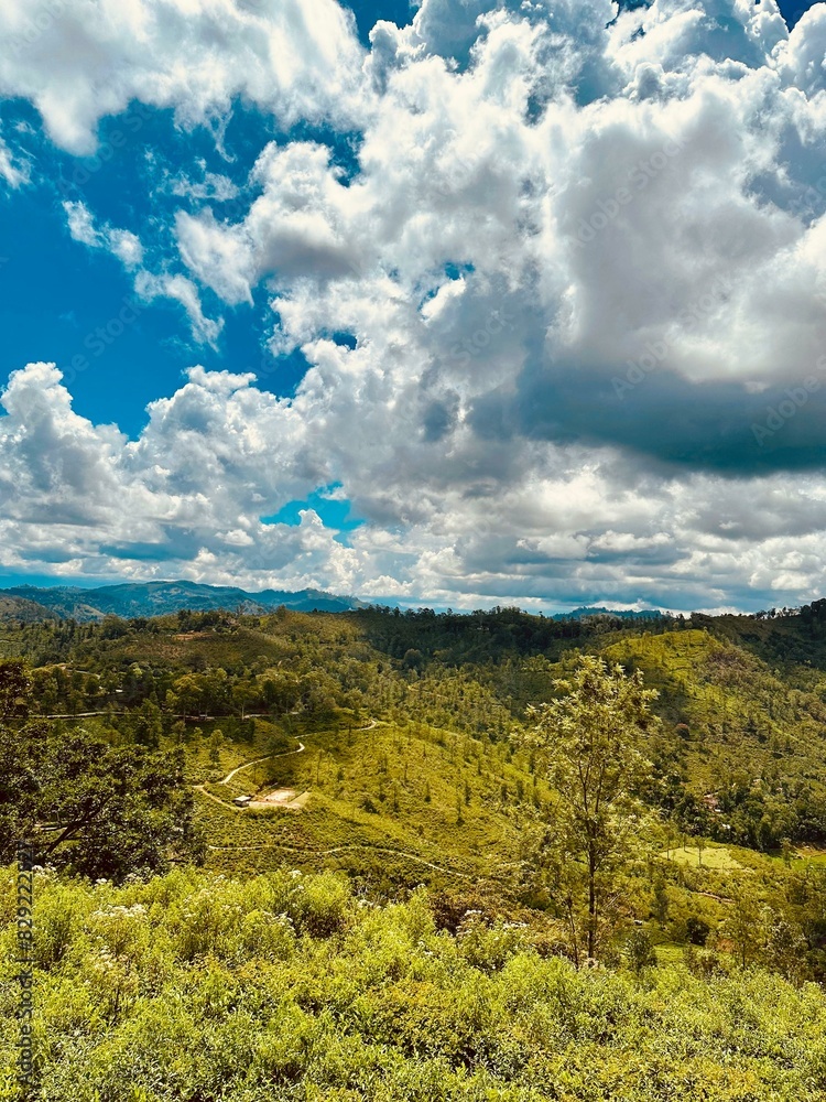 Obraz premium Gorgeous stock image of a foggy, blue sky over a landscape of mountains and forests