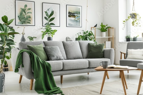 Actual photo of grey couch with green cushion and blanket in white living room with posters plants armchair wooden table with book and tea