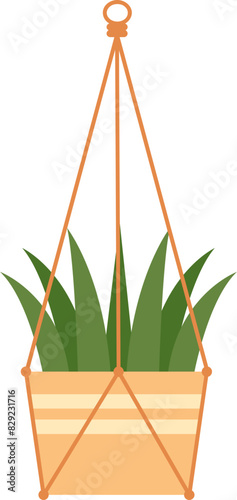 Hanging Plant Illustration