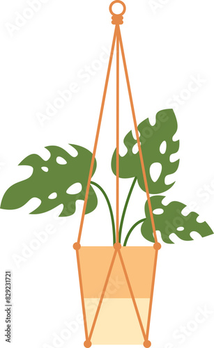 Hanging Plant Illustration