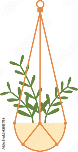 Hanging Plant Illustration