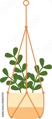 Hanging Plant Illustration