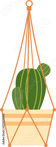 Hanging Plant Illustration