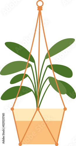 Hanging Plant Illustration