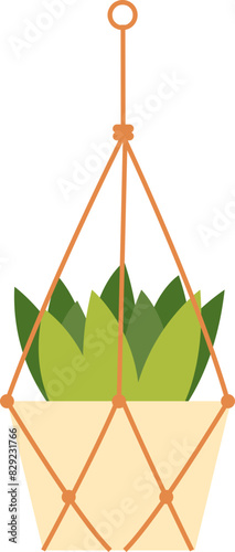 Hanging Plant Illustration