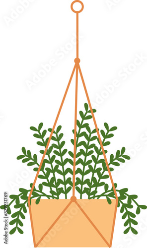Hanging Plant Illustration