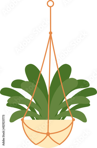 Hanging Plant Illustration
