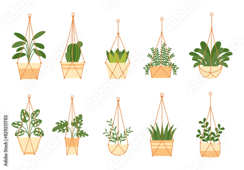Hanging Plant Illustration Set