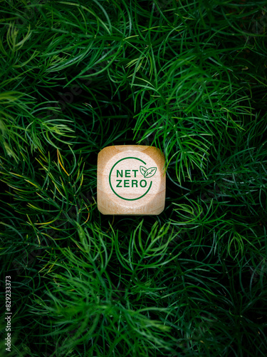 Reduce CO2 emissions, limit climate change, global warming, net zero carbon dioxide reduction concept. Green Net Zero icon, text on small wooden cube block on green leaves background, vertical style. photo