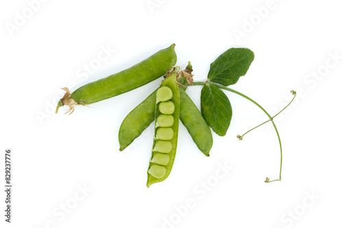 Open pea pods and green leaf isolated over white
