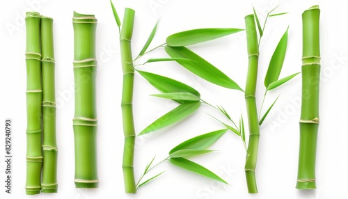 Green bamboo stems on a white background