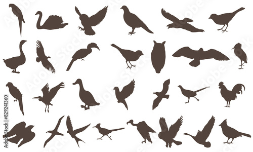 Birds icon bundle