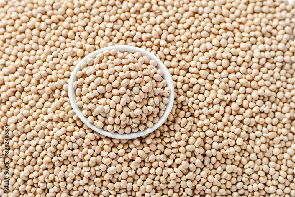 White Beans in a Bowl White Beans in a Bowl