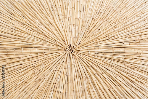 Bamboo Texture Pattern
